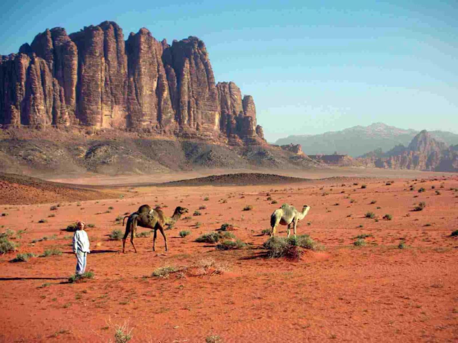 فندق Wadi Rum Caeser Camp المظهر الخارجي الصورة