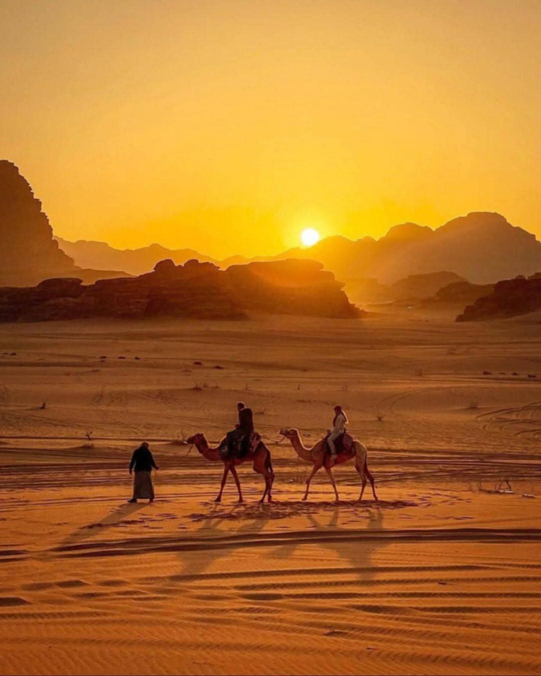فندق Wadi Rum Caeser Camp المظهر الخارجي الصورة