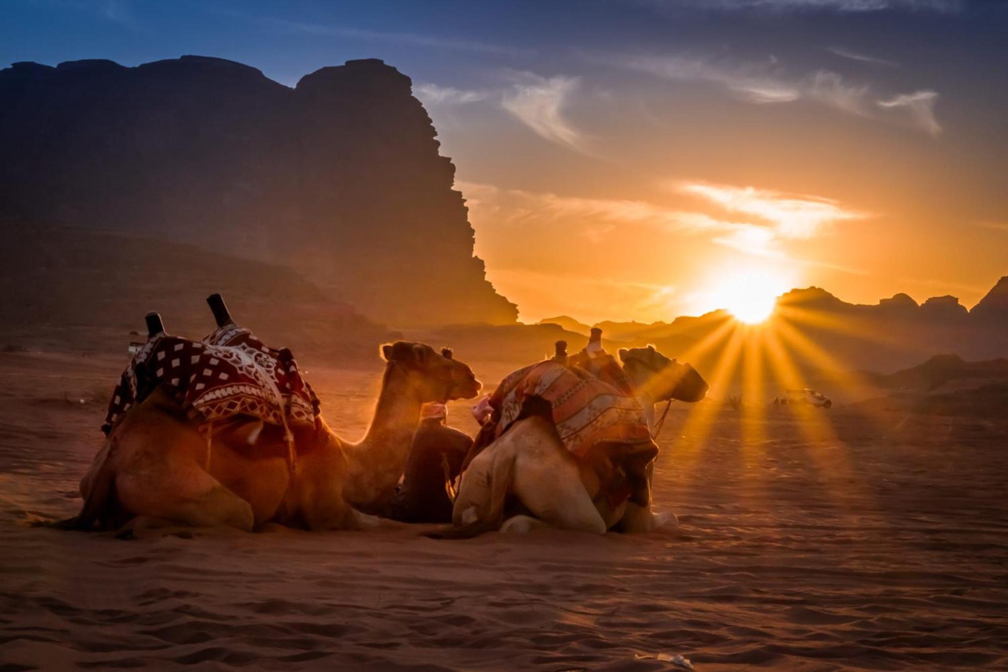 فندق Wadi Rum Caeser Camp المظهر الخارجي الصورة